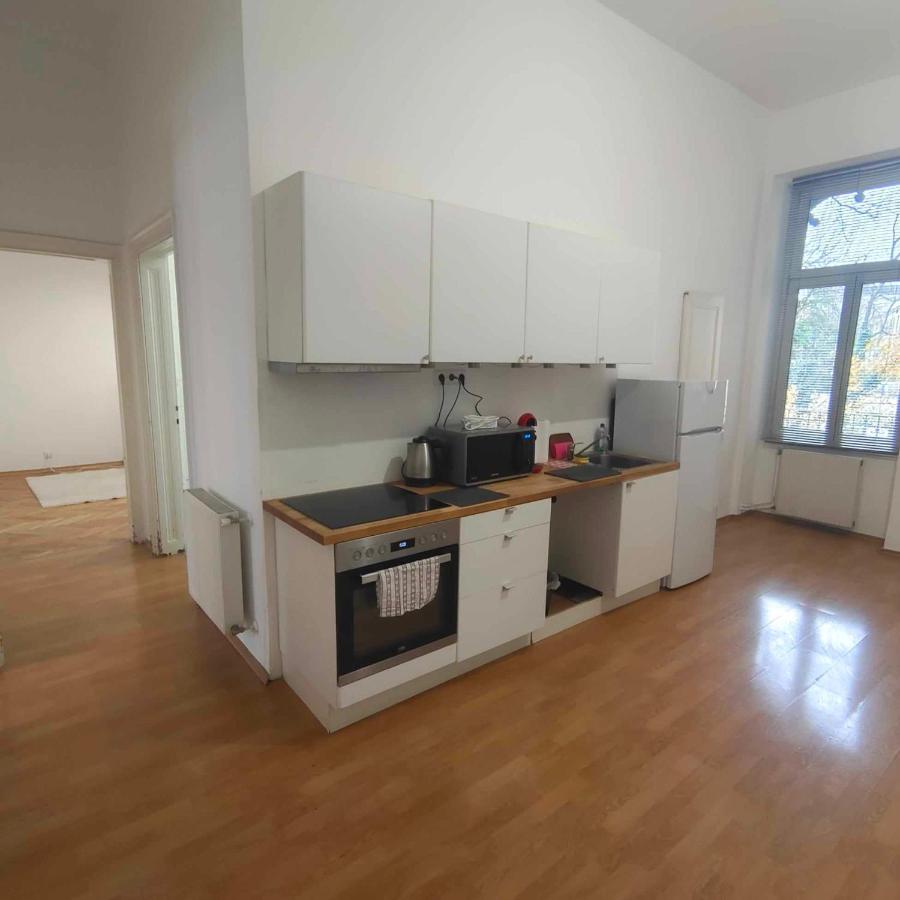 Large 4 Room Apartment In The Center Of Vienna Exterior photo